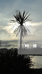 网络上信用卡逾期怎么处理 网络上信用卡逾期怎么处理
