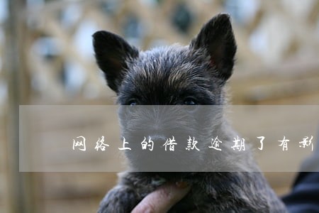 网络上的借款逾期了有影响吗 网络上的借款逾期了有影响吗