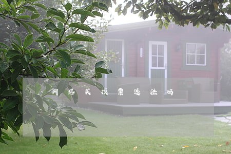 网络买投票违法吗 网络买投票违法吗