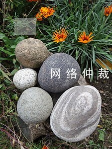 网络仲裁需要法院申请执行 网络仲裁需要法院申请执行