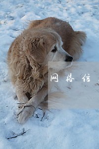网络信用贷款逾期60天 网络信用贷款逾期60天