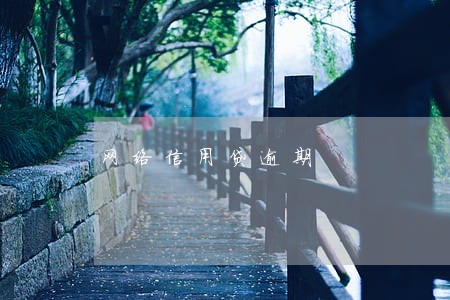 网络信用贷逾期 网络信用贷逾期