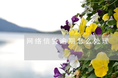 网络信贷逾期怎么处理 网络信贷逾期怎么处理