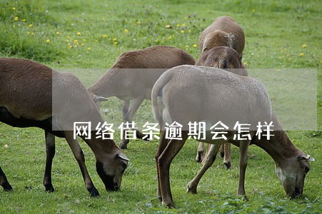 网络借条逾期会怎样 网络借条逾期会怎样