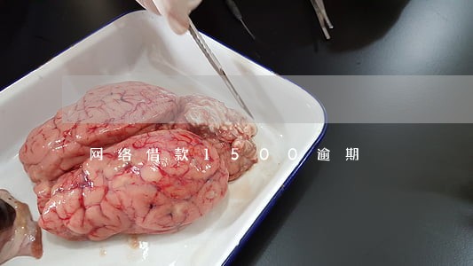 网络借款1500逾期 网络借款1500逾期