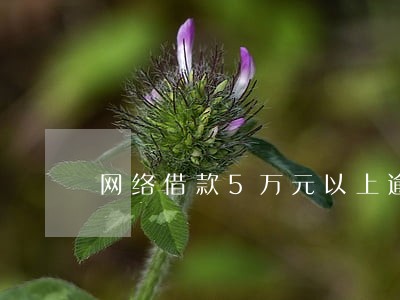 网络借款5万元以上逾期 网络借款5万元以上逾期