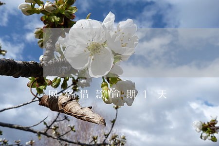 网络借款逾期1天 网络借款逾期1天