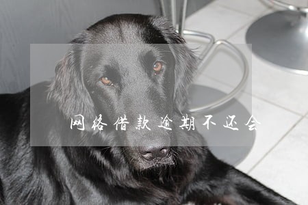 网络借款逾期不还会 网络借款逾期不还会