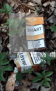 网络借款逾期会怎么样 网络借款逾期会怎么样