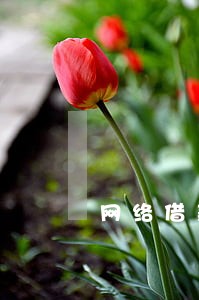 网络借款逾期可以开公司吗 网络借款逾期可以开公司吗