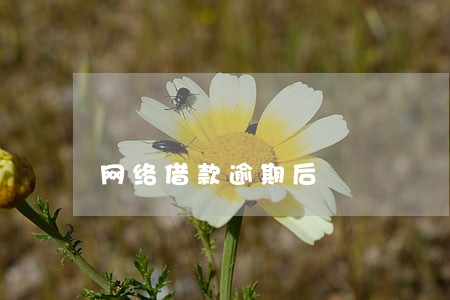 网络借款逾期后 网络借款逾期后