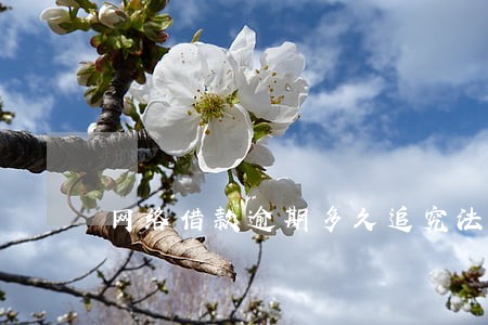 网络借款逾期多久追究法律责任