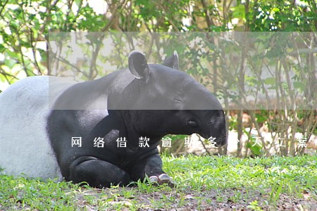 网络借款逾期多少天立案