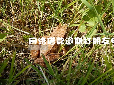 网络借款逾期打朋友电话