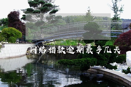 网络借款逾期最多几天 网络借款逾期最多几天