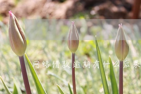 网络借款逾期有什么后果
