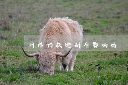 网络借款逾期有影响吗