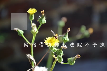 网络借贷仲裁法院不予执行 网络借贷仲裁法院不予执行