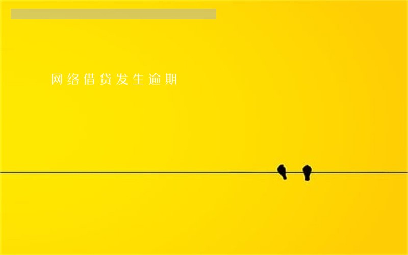 网络借贷发生逾期 网络借贷发生逾期