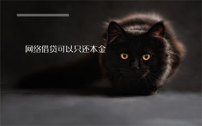 网络借贷可以只还本金 网络借贷可以只还本金