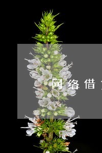 网络借贷平台清退整改逾期率 网络借贷平台清退整改逾期率