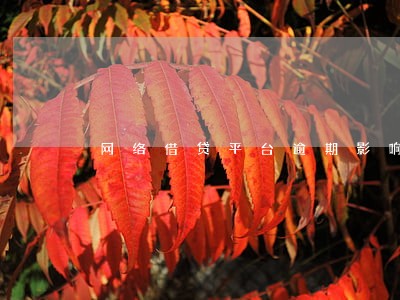 网络借贷平台逾期影响征信