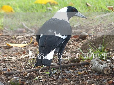 网络借贷是逾期刑事案件吗