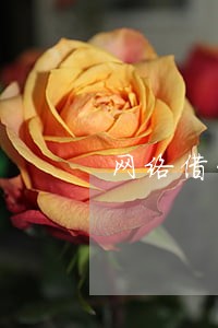 网络借贷法院管辖地 网络借贷法院管辖地