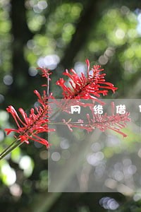 网络借贷的逾期手续费 网络借贷的逾期手续费