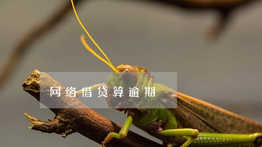 网络借贷算逾期 网络借贷算逾期