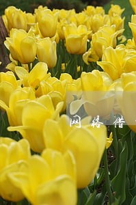 网络借贷逾期一天有什么后果 网络借贷逾期一天有什么后果