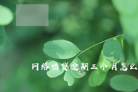 网络借贷逾期三个月怎么办 网络借贷逾期三个月怎么办