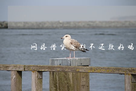 网络借贷逾期不还款好吗