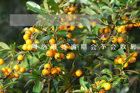网络借贷逾期会不会收房