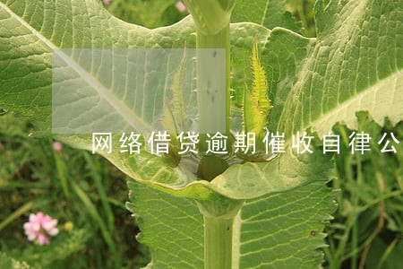 网络借贷逾期催收自律公约 网络借贷逾期催收自律公约