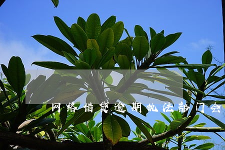 网络借贷逾期执法部门会来你家吗 网络借贷逾期执法部门会来你家吗
