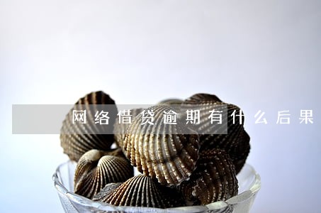 网络借贷逾期有什么后果 网络借贷逾期有什么后果