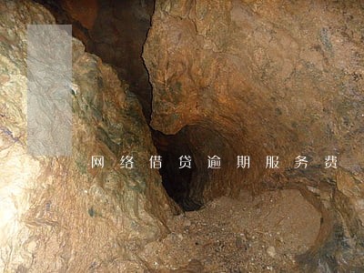 网络借贷逾期服务费 网络借贷逾期服务费