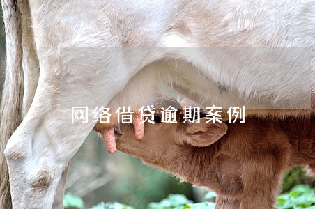 网络借贷逾期案例