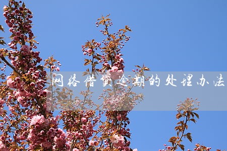 网络借贷逾期的处理办法 网络借贷逾期的处理办法