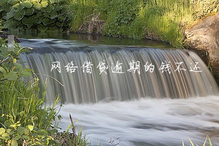 网络借贷逾期的钱不还 网络借贷逾期的钱不还