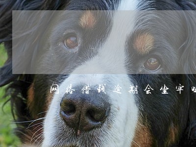 网络借钱逾期会坐牢吗