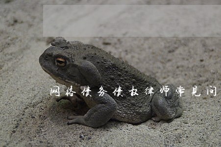 网络债务债权律师常见问题 网络债务债权律师常见问题