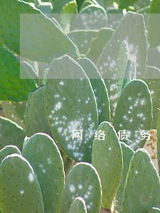 网络债务债权律师销售方法 网络债务债权律师销售方法