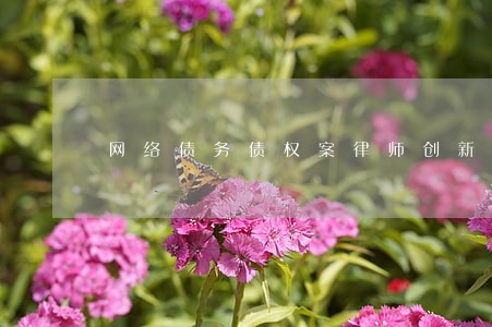 网络债务债权案律师创新服务 网络债务债权案律师创新服务