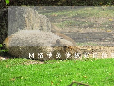 网络债务债权案律师哪家好