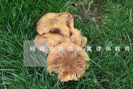 网络债务债权案律师收费套餐 网络债务债权案律师收费套餐