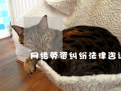 网络劳资纠纷法律咨询费用 网络劳资纠纷法律咨询费用