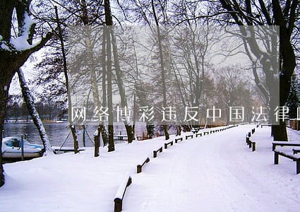 网络博彩违反中国法律嘛 网络博彩违反中国法律嘛