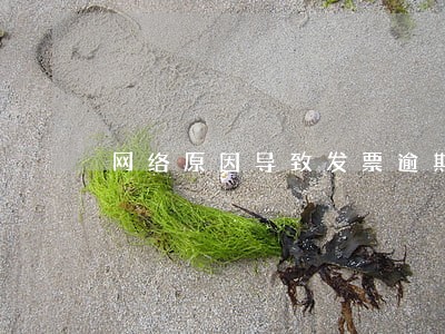 网络原因导致发票逾期未抵扣